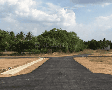 Project Images