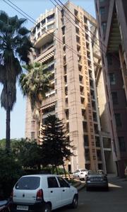 Gallery Cover Pic of Vijay Surya Building