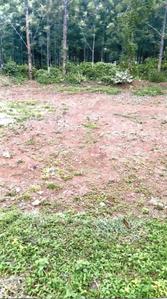 Project Image of 1200.0 - 2000.0 Sq.ft Residential Plot Plot for buy in Manjunath Jade Vista