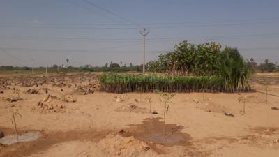 Project Image of 1088.98 - 5435.99 Sq.ft Residential Plot Plot for buy in ASMR Savannah