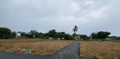 Thirumal Nagar Internal Roads & Footpaths 3