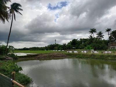 Project Image of 1080.0 - 1440.0 Sq.ft Residential Plot Plot for buy in Sukran Valley