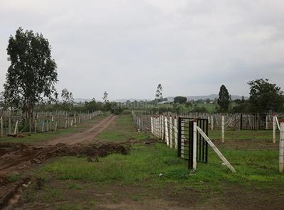 Project Image of 1867.0 - 5845.0 Sq.ft Residential Plot Plot for buy in Landscapes Nisargsrishti