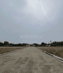 Project Images