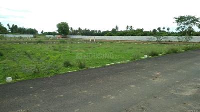 Project Image of 1500.0 - 2400.0 Sq.ft Residential Plot Plot for buy in Miracle Kuber Estate