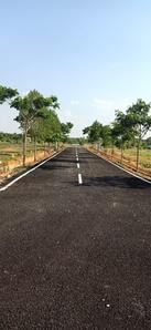 Project Image of 888.0 - 2400.0 Sq.ft Residential Plot Plot for buy in Canterburry Meadows Phase 1