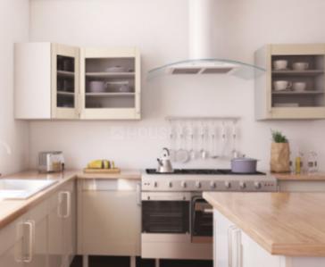 Project Images
