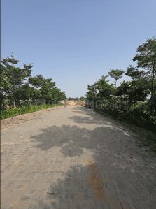Project Image of 999.0 - 1980.0 Sq.ft Residential Plot Plot for buy in Yaduraj Ojas