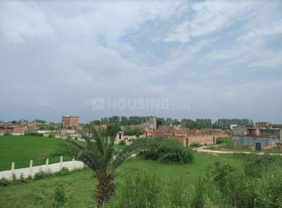Project Image of 650.0 - 2700.0 Sq.ft Residential Plot Plot for buy in Reedocs City Part 1