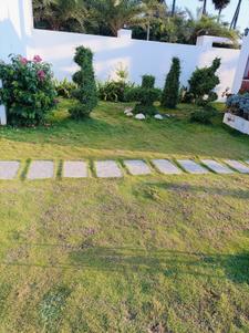 Project Image of 540.0 - 1203.0 Sq.ft Residential Plot Plot for buy in Elite Villa Pllots
