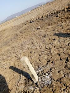 Project Image of 1089.0 - 5445.0 Sq.ft Residential Plot Plot for buy in Propzone Residential Plots In Ranjanpada Navi Mumbai
