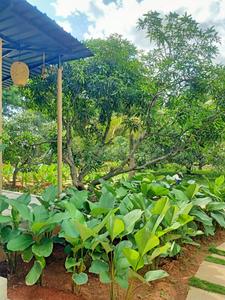 Project Image of 1199.53 - 10038.42 Sq.ft Residential Plot Plot for buy in Ameliorate Hara North One