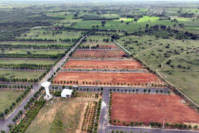 Project Image of 1323.0 - 2997.0 Sq.ft Residential Plot Plot for buy in Abhiram Nature View City