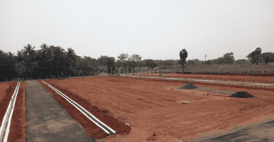 Project Images