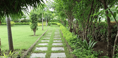 Project Image of 490.73 - 3272.44 Sq.ft Residential Plot Plot for buy in Anant Aurum City Next