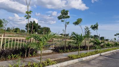 Project Image of 1480.04 - 6898.7 Sq.ft Residential Plot Plot for buy in Aparna Vasudha Phase II