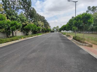 Project Image of 2190.41 - 12817.0 Sq.ft Residential Plot Plot for buy in Celebrity Eco Front