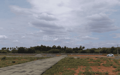 Project Images