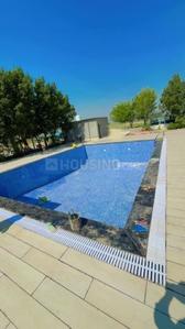 Project Image of 9072.0 - 18144.0 Sq.ft Residential Plot Plot for buy in Investors AV Farm