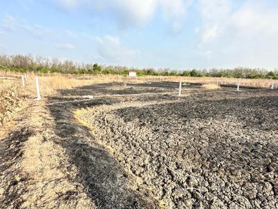 Project Image of 1089.0 - 5445.0 Sq.ft Residential Plot Plot for buy in Golden Residential Plots In Ranjanpada Near Mumbai Trans Harbour Link Bridge