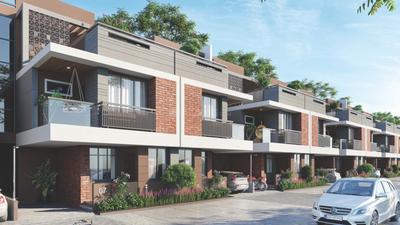 Platinum Pride Elevation 1