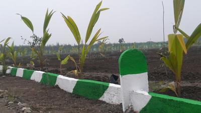 Project Image of 9600.0 - 19999.0 Sq.ft Residential Plot Plot for buy in Kingmakers Farm Land