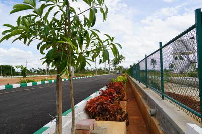 Project Image of 1200.0 - 1500.0 Sq.ft Residential Plot Plot for buy in Alora Woods And Himagiri Arcadia