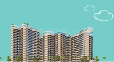 Rise Organic Liftopia Elevation 1