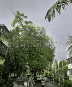 Project Image of 481.68 - 654.12 Sq.ft 2 BHK Apartment for buy in DS Gokhale Park