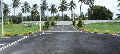 Project Image of 654.0 - 3007.0 Sq.ft Residential Plot Plot for buy in Dream Emerald Avenue