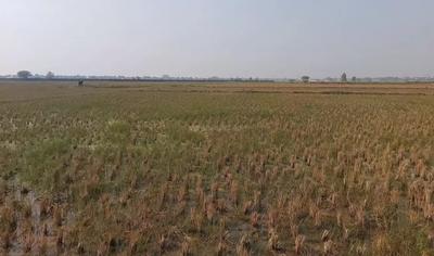 Project Image of 740.7 - 1389.6 Sq.ft Residential Plot Plot for buy in Himalaya Platinum City