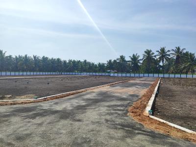 Project Image of 9135.0 - 10440.0 Sq.ft Residential Plot Plot for buy in Mayon Golden Gate