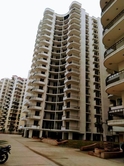 Greenwoods - Image 4