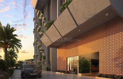 Project Images