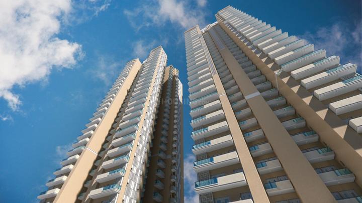 Irish Pearls - Image 3