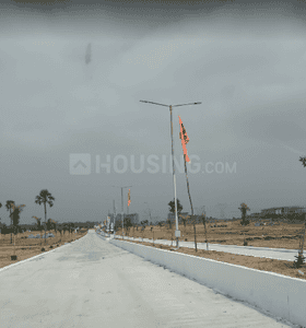 Project Image of 1404.0 - 7992.0 Sq.ft Residential Plot Plot for buy in True Pride