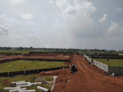 Project Images