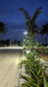 Project Image of 1200.0 - 1500.0 Sq.ft Residential Plot Plot for buy in VM Lotuscity