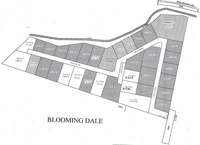 Project Image of 1742.0 - 10018.0 Sq.ft Residential Plot Plot for buy in Jewel Bloomingdale