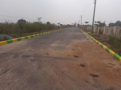 Project Image of 1350.0 - 6619.8 Sq.ft Residential Plot Plot for buy in Sai Bhuvana