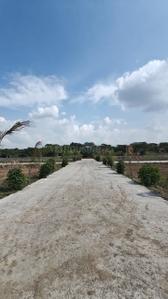 Project Image of 600.0 - 1260.0 Sq.ft Residential Plot Plot for buy in Radha Paradise 1
