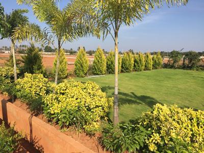 Project Image of 1200.0 - 2400.0 Sq.ft Residential Plot Plot for buy in Max Dharani