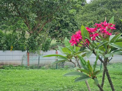Project Image of 2013.51 - 4095.0 Sq.ft Residential Plot Plot for buy in Grace Serenity Park