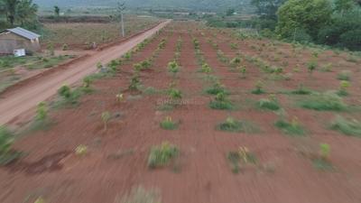 Project Image of 1000.0 - 15681.0 Sq.ft Residential Plot Plot for buy in Chettinad Farms