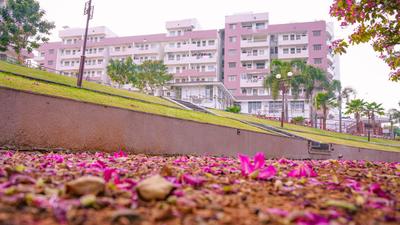 Project Image of 1025.0 - 1325.0 Sq.ft 2 BHK Apartment for buy in Aamra Valley Phase 2