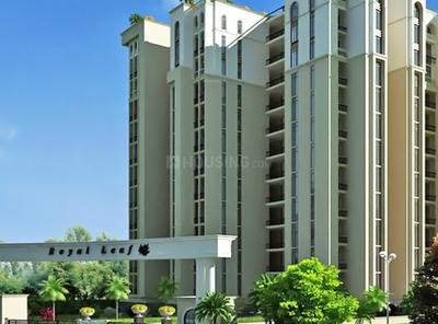 Project Image of 413.0 - 857.0 Sq.ft 1 BHK Apartment for buy in Royal Global Royal Leaf
