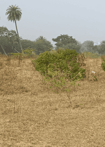 Project Image of 387.93 - 3182.46 Sq.ft Residential Plot Plot for buy in Mccoy Shanti Park
