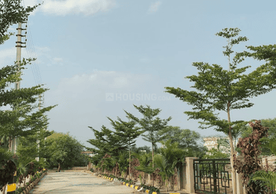 Project Image of 1388.54 - 5661.82 Sq.ft Residential Plot Plot for buy in Royal Rise County