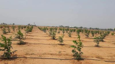 Project Image of 0.0 - 5400.0 Sq.ft Residential Plot Plot for buy in Space Vision Green Acres
