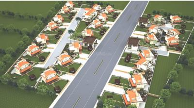 Project Images
